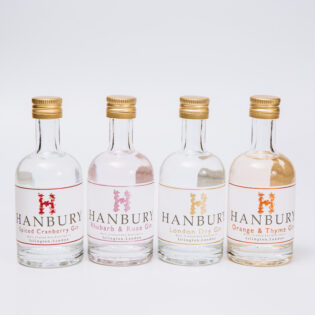 Mini gin collection featuring 4 bottles on a white background
