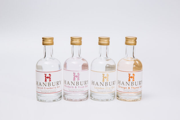 Mini gin collection featuring 4 bottles on a white background